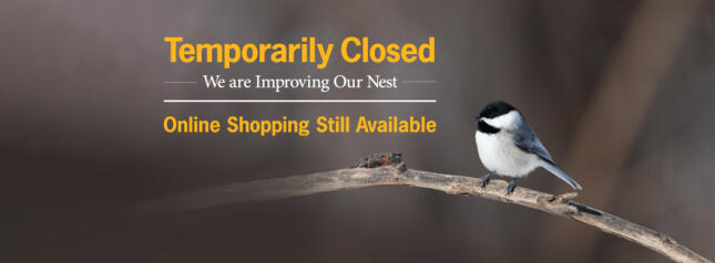 Temporarily Closed
