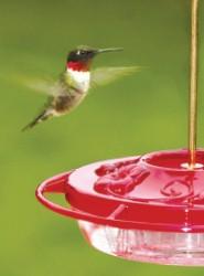 WBU Small Decorative Hummingbird Feeder