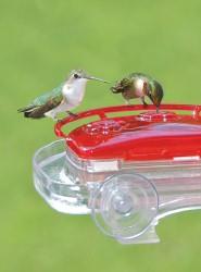 WBU Decorative Window Hummingbird Feeder